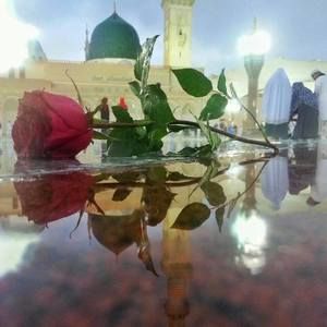 Meet your Posher, Kadiatou